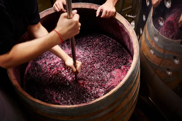 What does the colour of your wine really tell you?